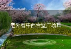 老外看中西合璧广场舞