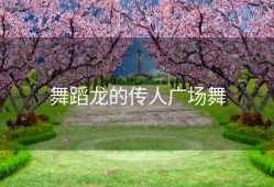 舞蹈龙的传人广场舞
