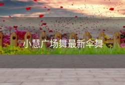 小慧广场舞最新伞舞