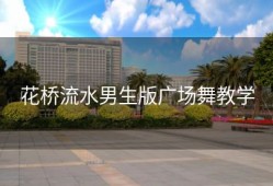 花桥流水男生版广场舞教学