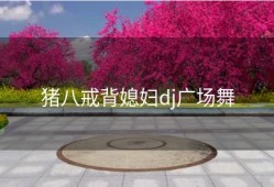 猪八戒背媳妇dj广场舞