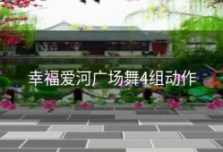 幸福爱河广场舞4组动作