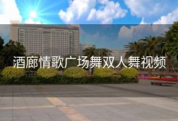 酒廊情歌广场舞双人舞视频