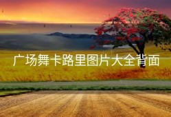 广场舞卡路里图片大全背面