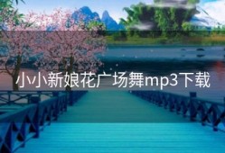 小小新娘花广场舞mp3下载