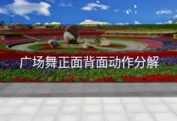 广场舞正面背面动作分解