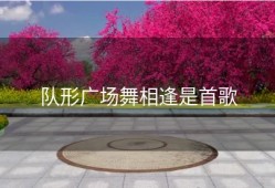 队形广场舞相逢是首歌