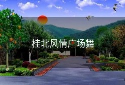 桂北风情广场舞