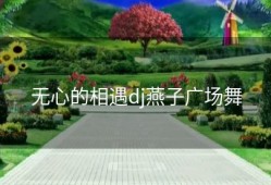 无心的相遇dj燕子广场舞