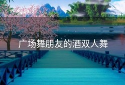 广场舞朋友的酒双人舞