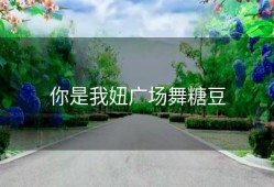 你是我妞广场舞糖豆