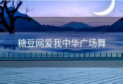 糖豆网爱我中华广场舞