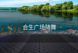 合生广场随舞