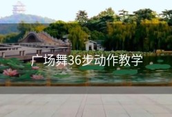 广场舞36步动作教学