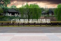 广场舞廖弟玛尼情歌