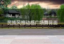 民族风格动感广场舞背面