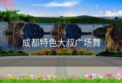 成都特色大叔广场舞