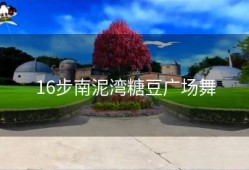 16步南泥湾糖豆广场舞
