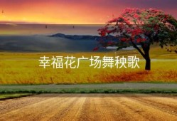 幸福花广场舞秧歌