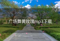 广场舞黄玫瑰mp3下载
