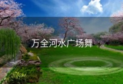 万全河水广场舞