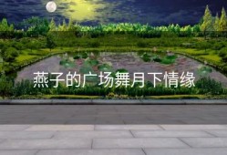 燕子的广场舞月下情缘