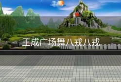 王成广场舞八戎八戎