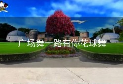 广场舞一路有你花球舞