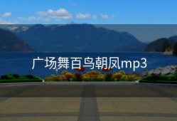 广场舞百鸟朝凤mp3