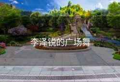 李泽锐的广场舞