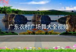 广东农村广场舞大全视频