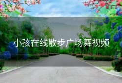 小孩在线散步广场舞视频