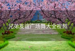兄弟友谊广场舞大全视频