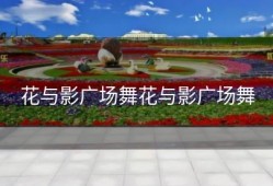 花与影广场舞花与影广场舞