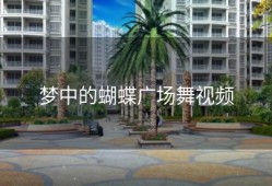 梦中的蝴蝶广场舞视频