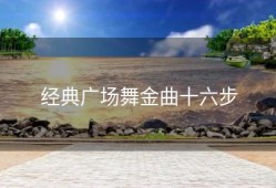 经典广场舞金曲十六步