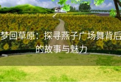 梦回草原：探寻燕子广场舞背后的故事与魅力