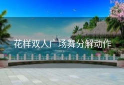 花样双人广场舞分解动作