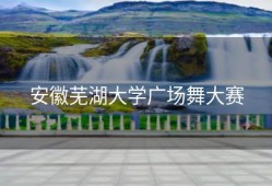 安徽芜湖大学广场舞大赛