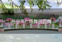 杨丽萍广场舞圆圆舞