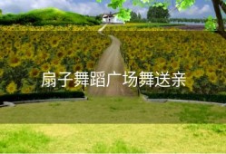 扇子舞蹈广场舞送亲