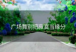 广场舞别把寂寞当缘分