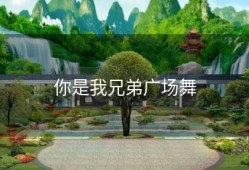你是我兄弟广场舞