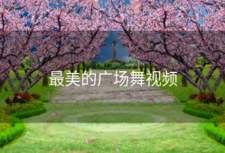 最美的广场舞视频