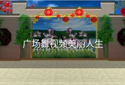 广场舞视频美丽人生