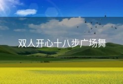 双人开心十八步广场舞