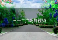 三十二广场舞视频