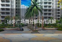 16步广场舞分解动作讲解