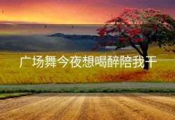 广场舞今夜想喝醉陪我干