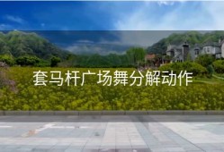 套马杆广场舞分解动作